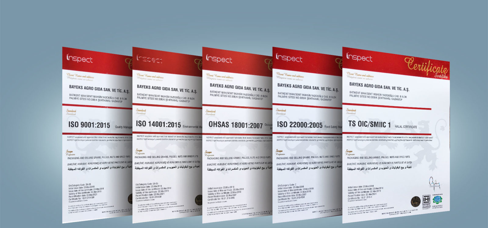 bayeks_sertifika bayeks_sertifika